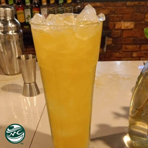 ICED FRESH ORANGE21